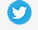 Twitter Icon